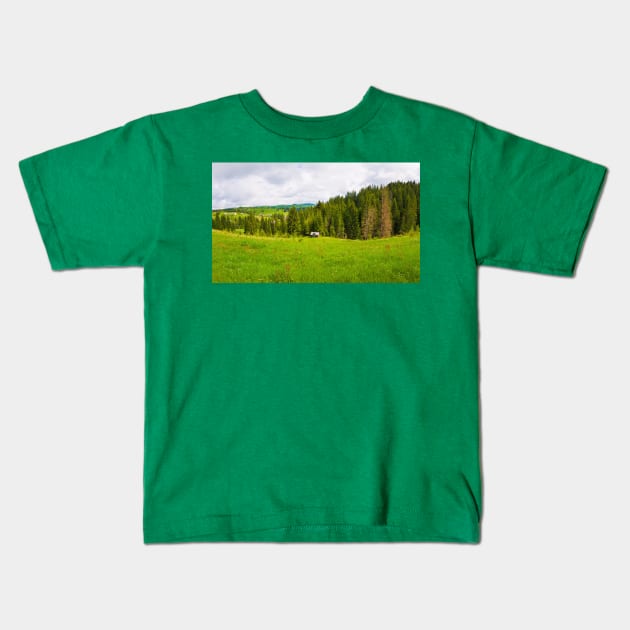 Carpathians silence Kids T-Shirt by psychoshadow